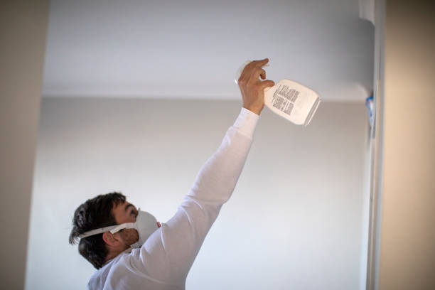 Best Kitchen Mold Remediation in Greendale, WI