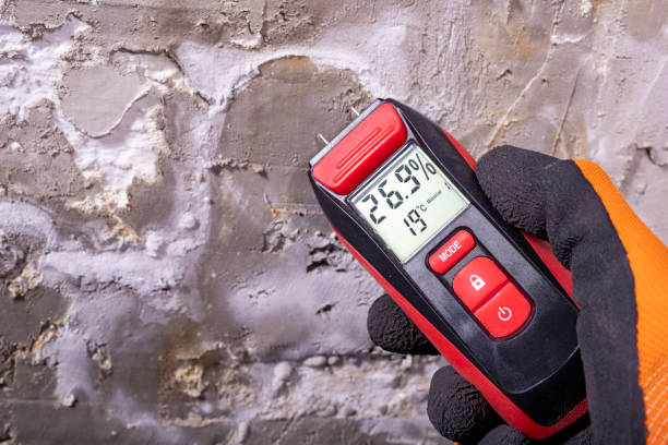 Best Insurance-Related Mold Remediation in Greendale, WI
