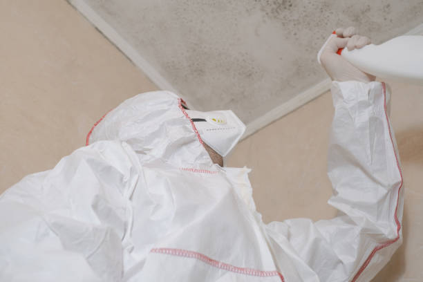 Best DIY Mold Remediation Support Services in Greendale, WI